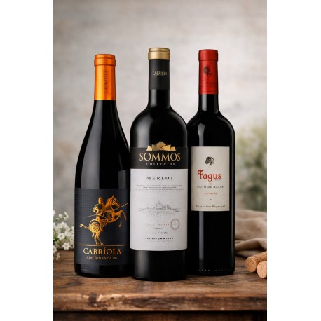 Telvin Colección Aragón 