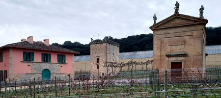 Bodega Pago de Cirsus