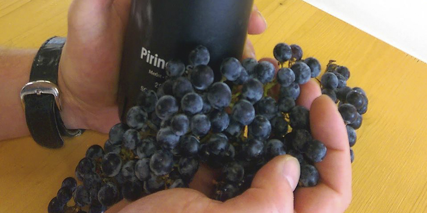 Merlot de Bodega Pirineos